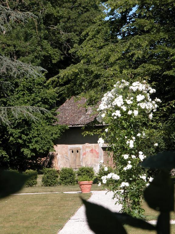 Chateau De Veigy Ξενοδοχείο Εξωτερικό φωτογραφία